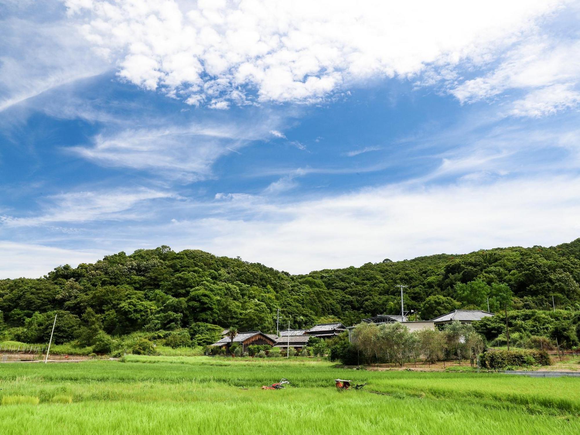 オリーブ農家の家 お泊り忠左衛門 吉野 Villa Shodoshima Luaran gambar